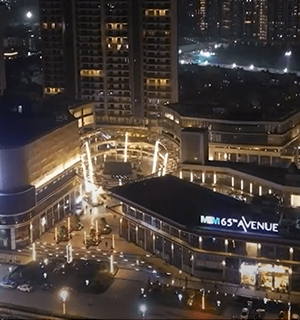 65Th Avenue Sector 65 Gurugram